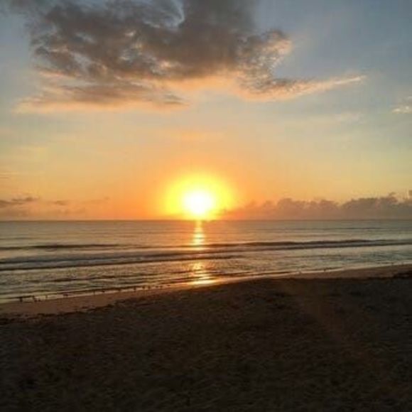 Meet your Posher, Benjamin - Picture 1 of 1